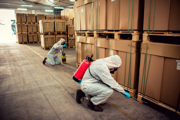 Best Residential Pest Control  in Knox, IN