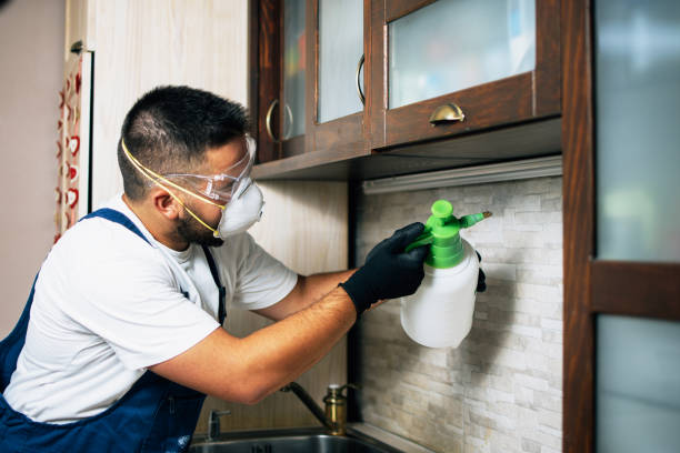Best Pest Control Near Me  in Knox, IN