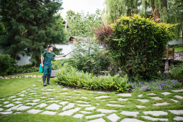 Best Local Pest Control Services  in Knox, IN