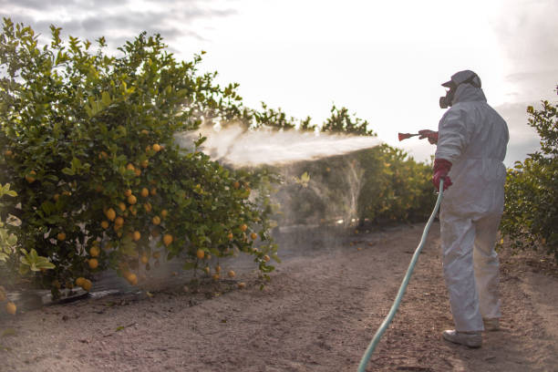 Best Bed Bug Extermination  in Knox, IN