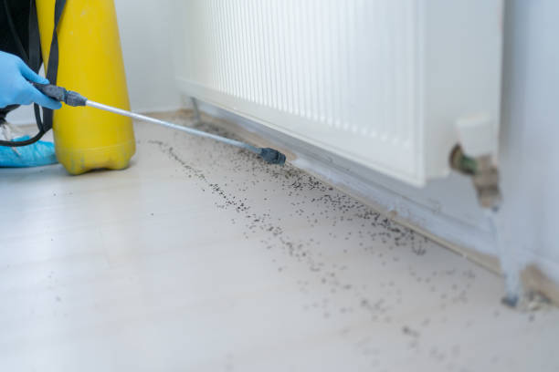 Best Best Pest Control Companies  in Knox, IN