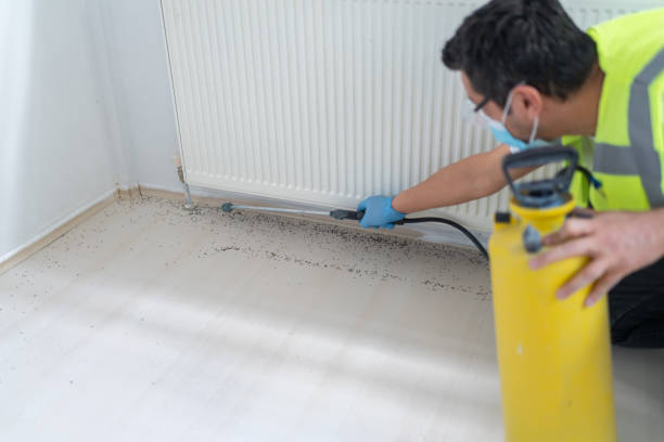 Best Mosquito Control Services  in Knox, IN